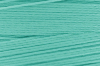 Turquoise  Color Chip