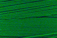 Bonded Polyester - Size 46 (Tex 45) - Class Green (Eddington) - 100 Yard Hand Stitching Tube