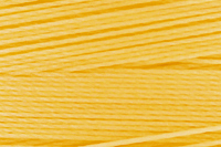 Yellow Color Chip