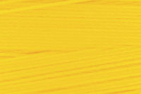Forsythia Color Chip