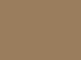 Bronz Color Chip