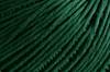 Hunter Green Color Chip