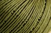 Truly Olive Color Chip