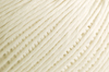 White Color Chip