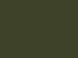 Olive Drab Color Chip