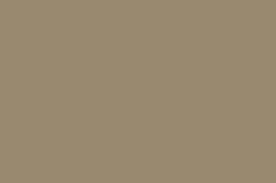 Beige Taupe Color Chip