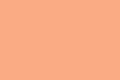Salmon Pink Color Chip