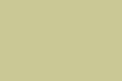 Khaki Color Chip