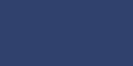 Navy Color Chip