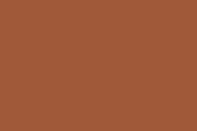 Cinnamon Color Chip