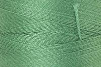 Palm Leaf Color Chip