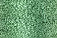 Palm Leaf Color Chip