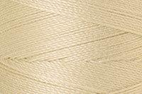 Pine Nut Color Chip