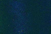 Dark Blue Color Chip