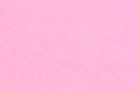 Petal Pink Color Chip