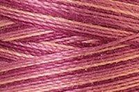 Pink Flox Color Chip
