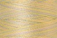Palest Pastels Color Chip