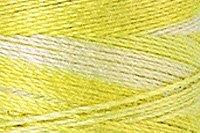 Canary Yellow Color Chip