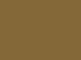 Chestnut Color Chip