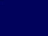 Artificial Sinew - Artificial Sinew - Royal Blue