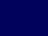 Royal Blue Color Chip