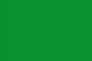 Mistletoe Green Color Chip