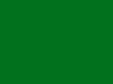 Green Bay Color Chip