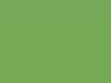 Pea Green Color Chip