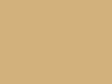 Natural Color Color Chip
