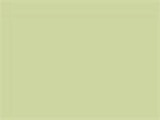 Light Green Color Chip