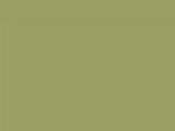 Palmetto Green Color Chip