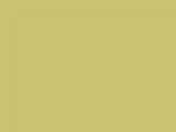 Olive Color Chip