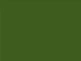 Evergreen Color Chip