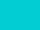 New Turquoise Color Chip