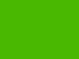 Deep Yellow Green Color Chip