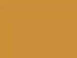 Gold Brown Color Chip