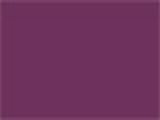 Dark Purple Color Chip