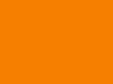 Robison-Anton 1,100 Yd Pumpkin Rayon Embroidery Thread 2328