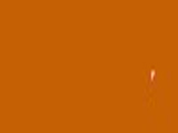 Chinese Rust Color Chip