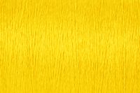 Sunshine Color Chip