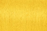 Apple Gold Color Chip