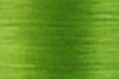 Grass Green Color Chip