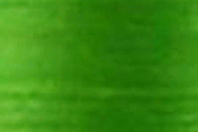 Bright Green Color Chip