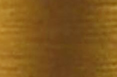 Taupe Brown Color Chip