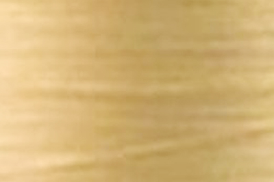 Beige Color Chip