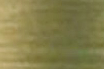 Green Brown Color Chip