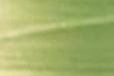 Green Color Chip