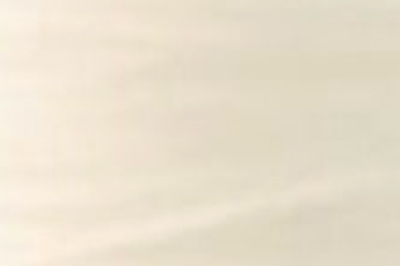 White Color Chip