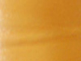 Shelley Gold Color Chip