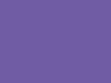 Lakes Purple Color Chip